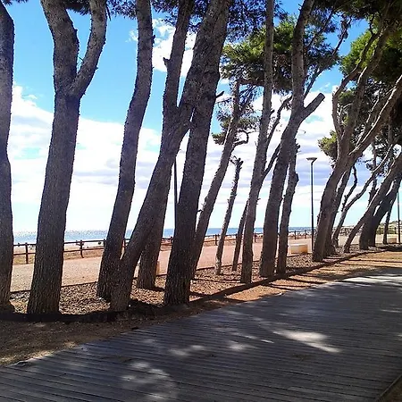Apcostas - Habitat Playa Romana *